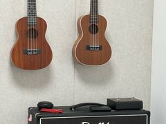 -大象音乐·吉他·架子鼓·声乐(双井店)
