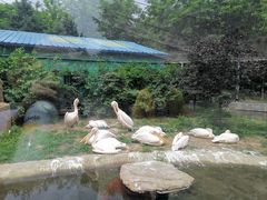 -沈阳鸟岛