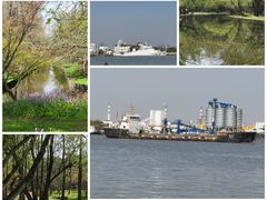 -上海共青森林公园