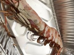 -上清·三文鱼鲜寿司(同德店)