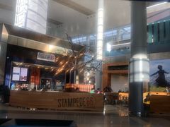 -达拉斯 沃斯堡国际机场