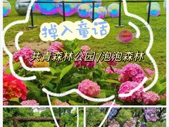 -上海共青森林公园