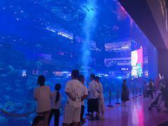 -成都浩海立方海洋公园