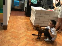 -肯德基(洛川店)
