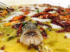 老坛酸菜鲈鱼-江渔儿酸菜鱼(东二环泰禾店)