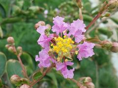 android_upload_pic-郑州植物园