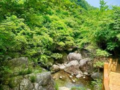 -东海大峡谷