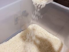 -CoCo都可(惠福店)
