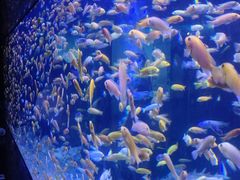 -海合安成都极地海洋公园
