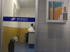 -美联众合动物医院(·中兽医·疑难杂症·严家桥分院)