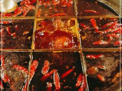 -酒友老火锅(渝中店)