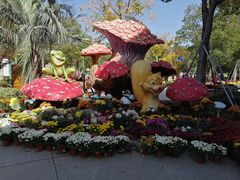 -苏州乐园森林水世界