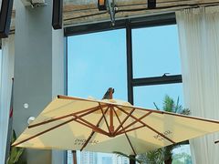 -肆季荟·SEASONS(江苏电视塔店)