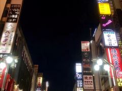 -台场海滨公园船码头