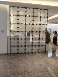 -广州美莱医疗美容医院