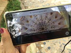 -阿尔罕布拉宫