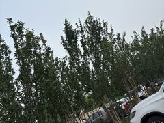 -天津东丽湖风景区