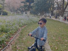 -堤角公园