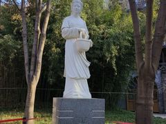 -西安曲江寒窑遗址公园
