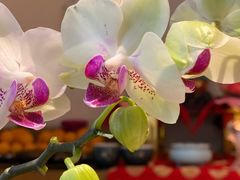 -云来集茶舍(国子监街店)