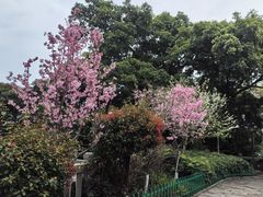 -乌山风景区