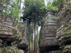 -梭布垭石林景区