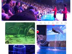 -华夏文旅海洋公园