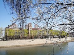 -桃花堤公园