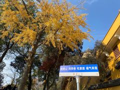 -灵岩山风景区