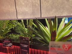 -無二炙坊·和牛烧肉(大钟寺1733店)
