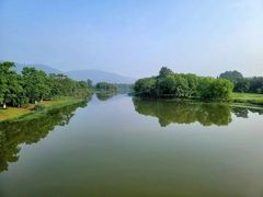 -长广溪湿地公园