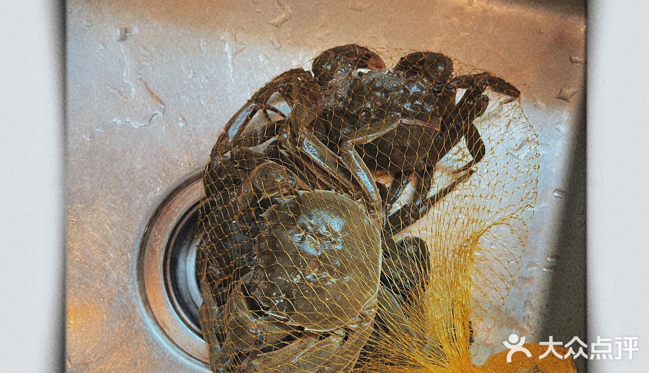 家庭式丨自制痛风套餐