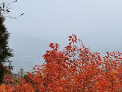 -香山公园