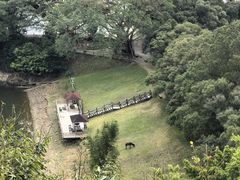 -雁南飞茶田景区