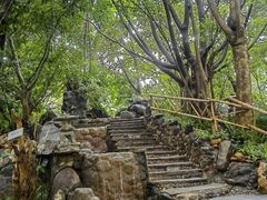 -湖泉半山温泉