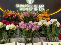 -狮拾久·现代新加坡料理(福田COCO Park店)