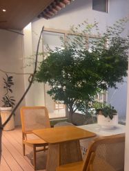 -AGE LOCK 锁龄美肌