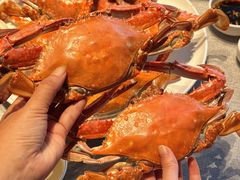 -望海湾北塘海鲜·天津菜(北塘店)