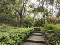 -杭州半山国家森林公园