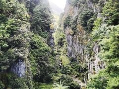 -苍山感通索道