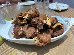 -林口邵胖子大鹅(新安街东五店)