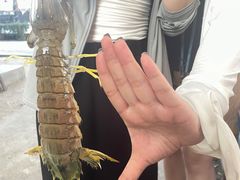 -拉威海鲜市场