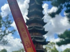 -龙华素斋(龙华路店)