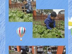 -东方剑桥幼儿园