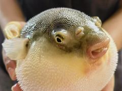 -永安鱼庄·镇江菜(东吴路店)