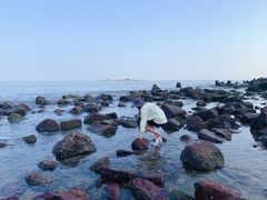 -台山黑沙湾海浴场