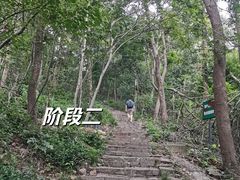 -紫金山山顶公园