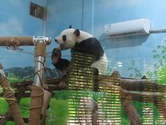 -柳州市动物园