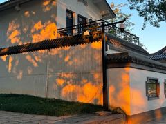-江心屿景区