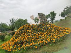 -紫颐香薰山谷景区